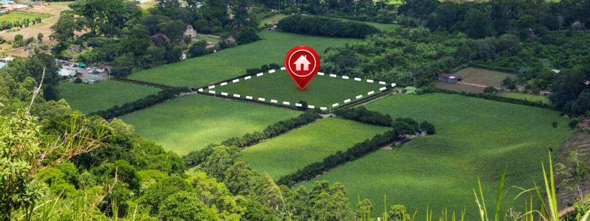 location terrain solaire rentabilité