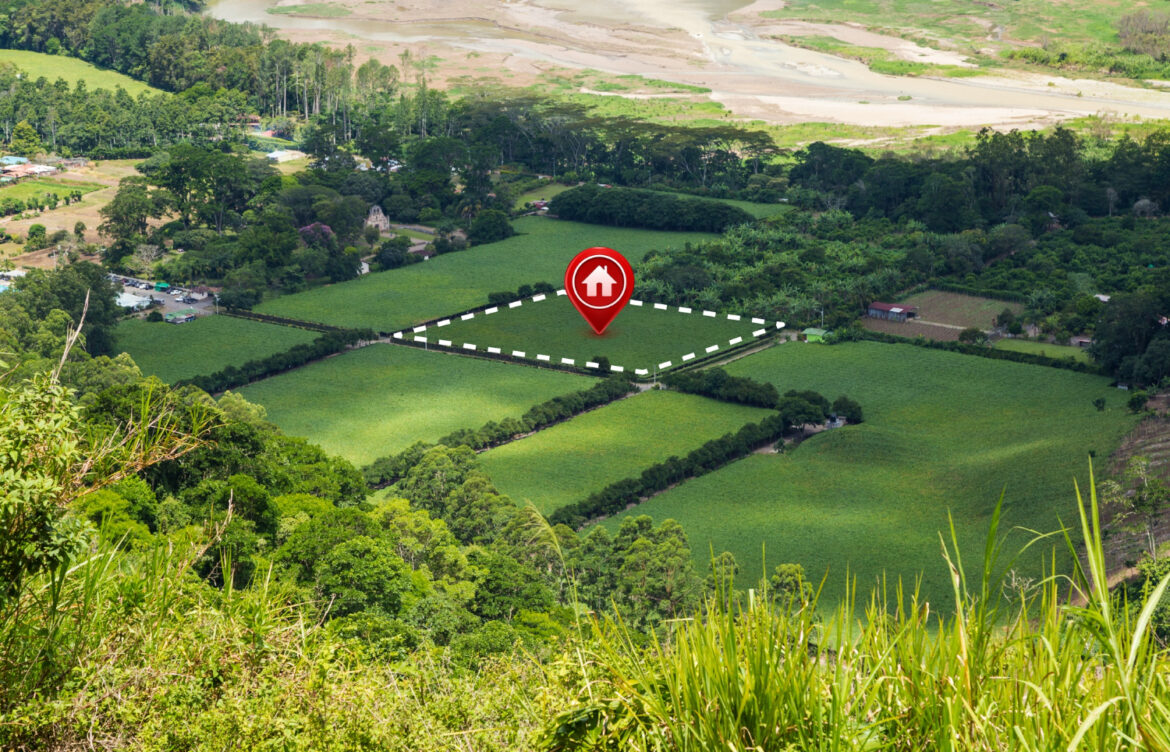 location terrain solaire rentabilité