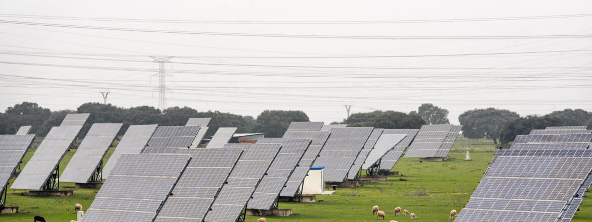 rentabilité panneau solaire au sol PACA