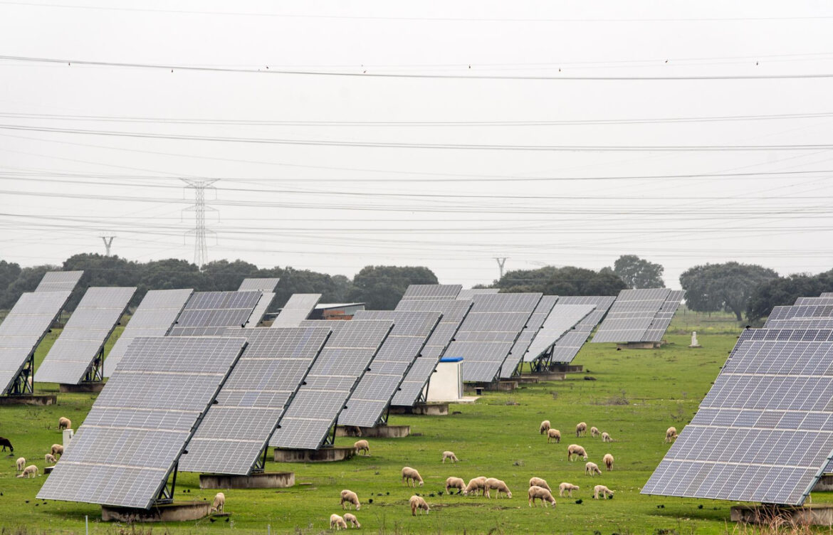rentabilité panneau solaire au sol PACA