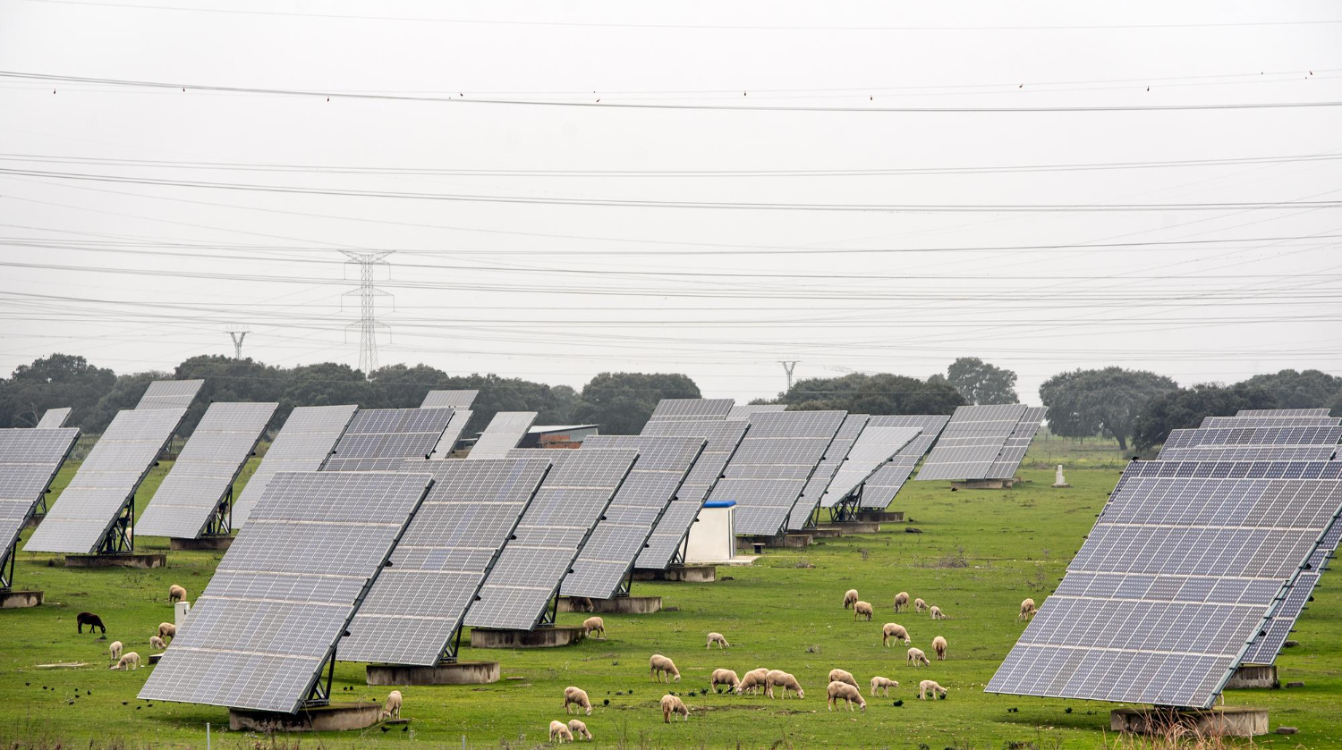 rentabilité panneau solaire au sol PACA